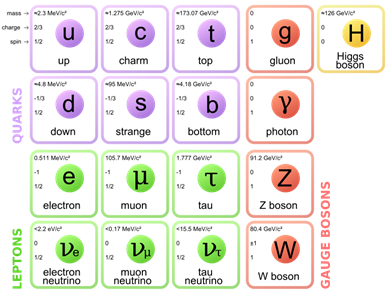 File:Standard Model of Elementary Particles.svg